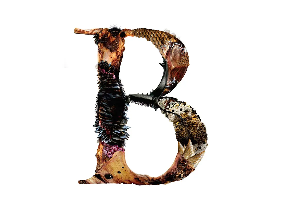 Bird Headed Monster Lettering