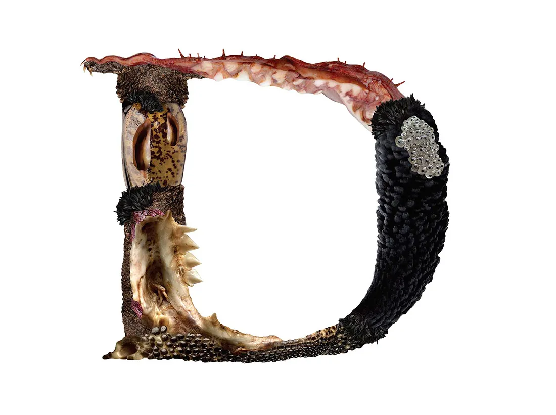 Bird Headed Monster Lettering