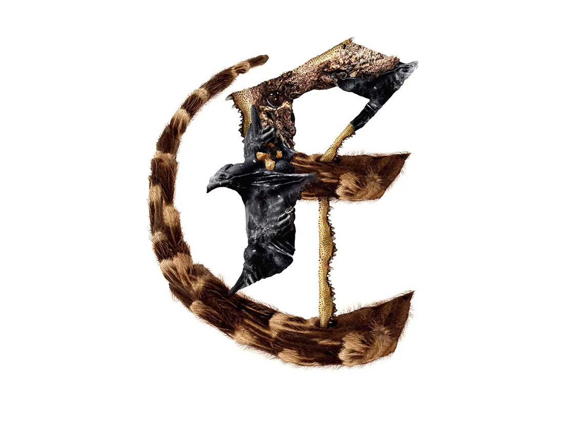 Bird Headed Monster Lettering