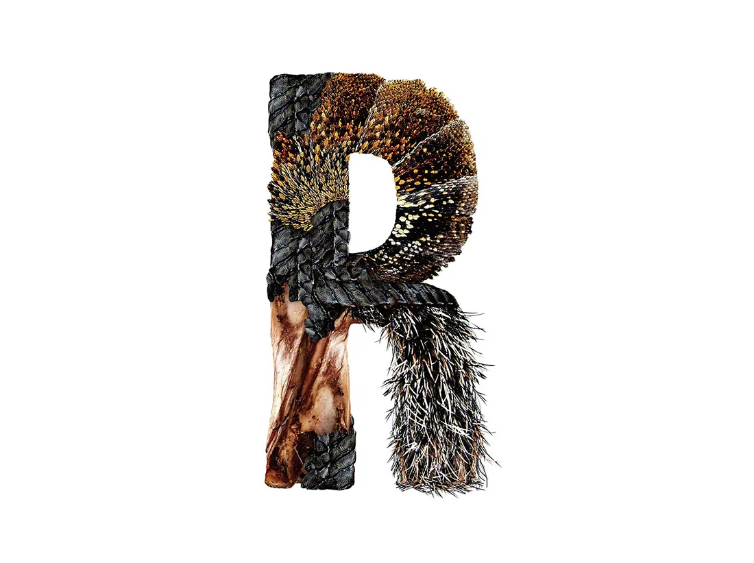 Bird Headed Monster Lettering