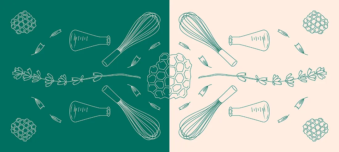 The Honesty Policy Visual Identity