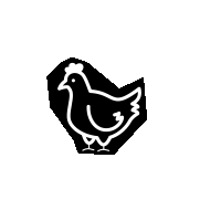 Omnivore's Feast Motion Graphics