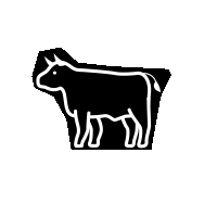 Omnivore's Feast Motion Graphics