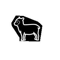 Omnivore's Feast Motion Graphics