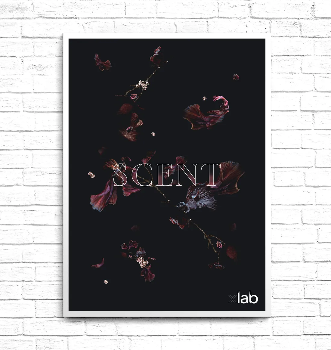 xlab sensory poster design